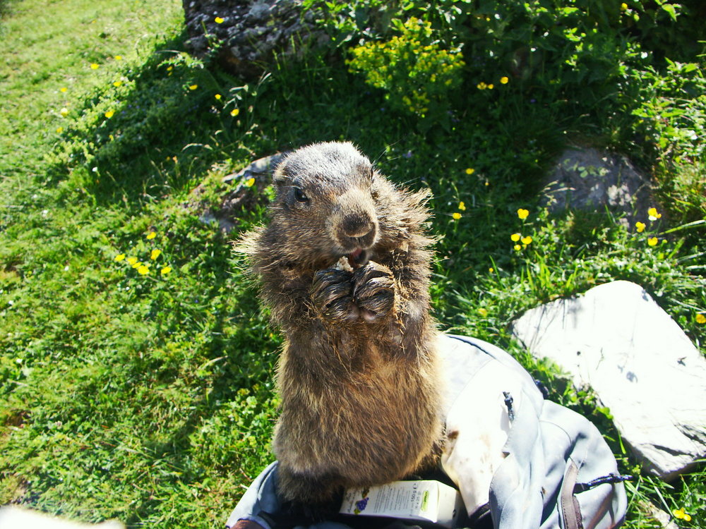 27-06-2005 08-11-56_0025.JPG