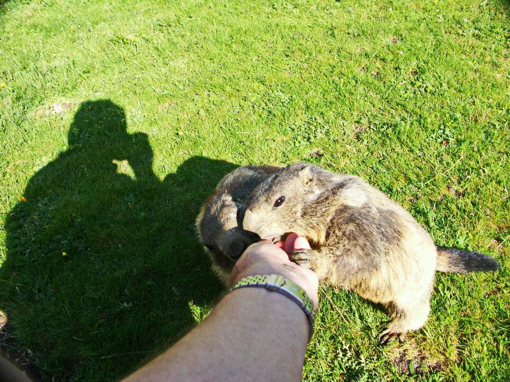 27-06-2005 08-26-17_0037.JPG