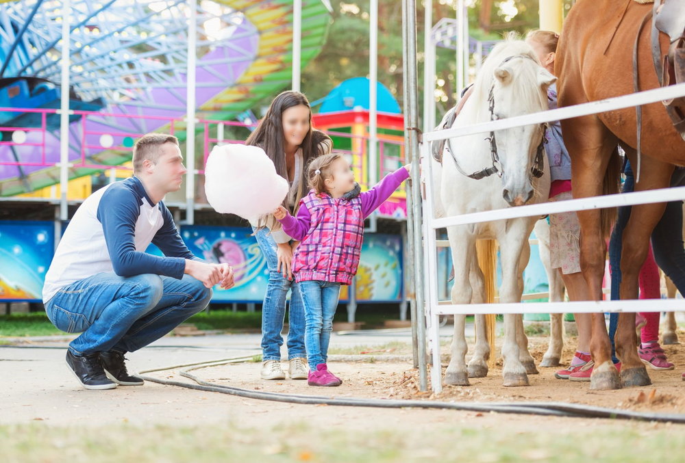 chevaux attractions et flous.jpg