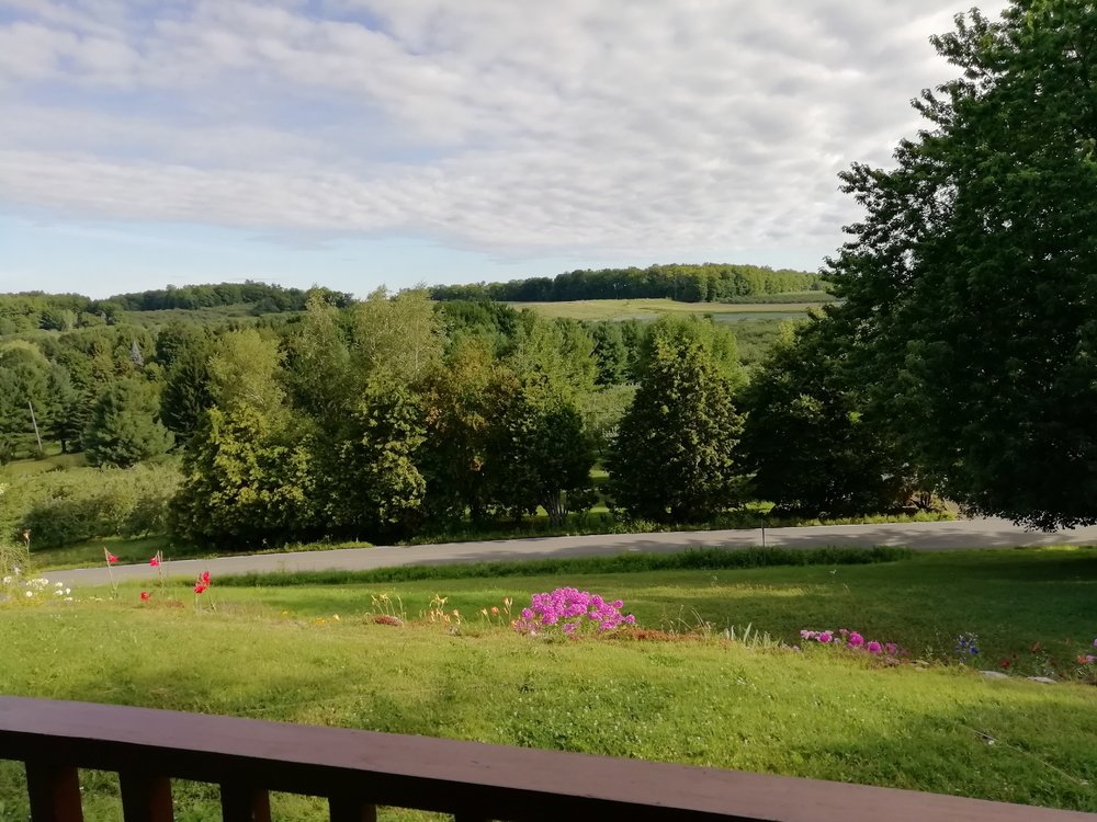 IMG_20190811_083722.jpg