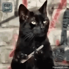 tenor-16.gif.b08630a106e3dadd2cf58a9fbb7b68cb.gif
