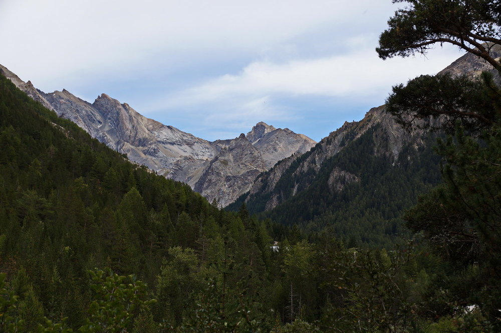 DSC02184.JPG
