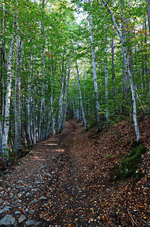 DSC02263_redimensionner.JPG