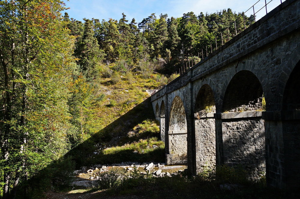 DSC02306_redimensionner.JPG