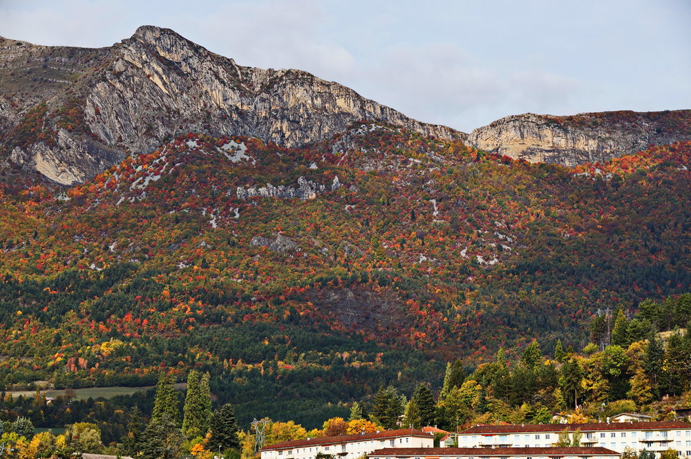 DSC02362_redimensionner.JPG