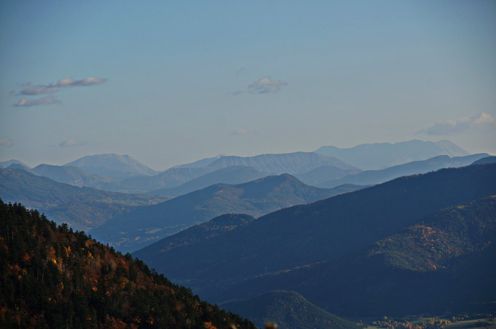 DSC02429.JPG