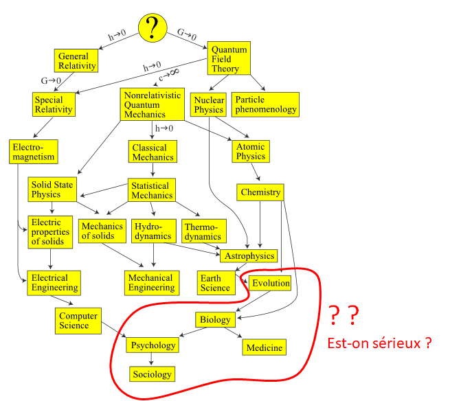 image.png.72607292056f925906a111a4790db7ca.png