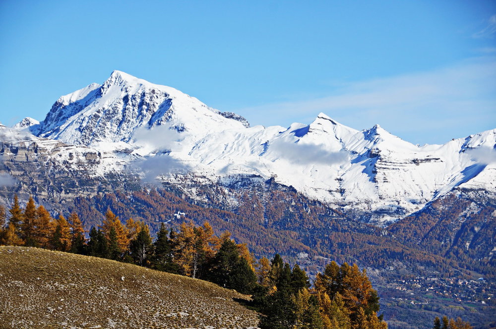DSC02510_redimensionner.JPG