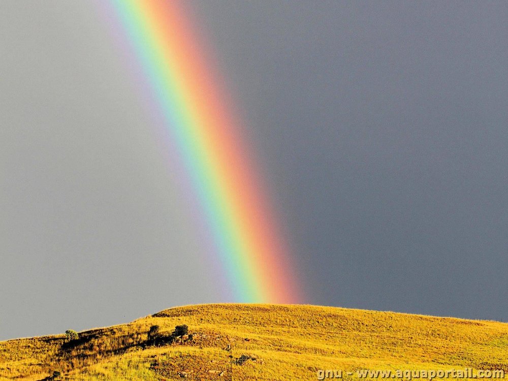 arc-en-ciel.jpg