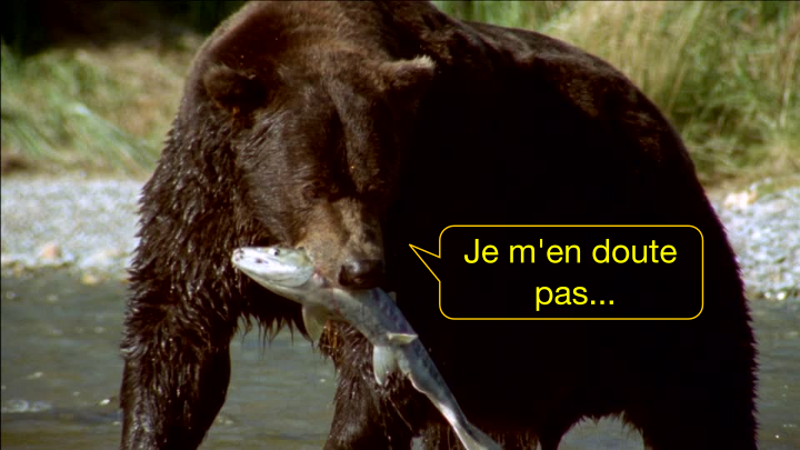 ours.png.520e4cfe61b033396789735ef0e1f574.png