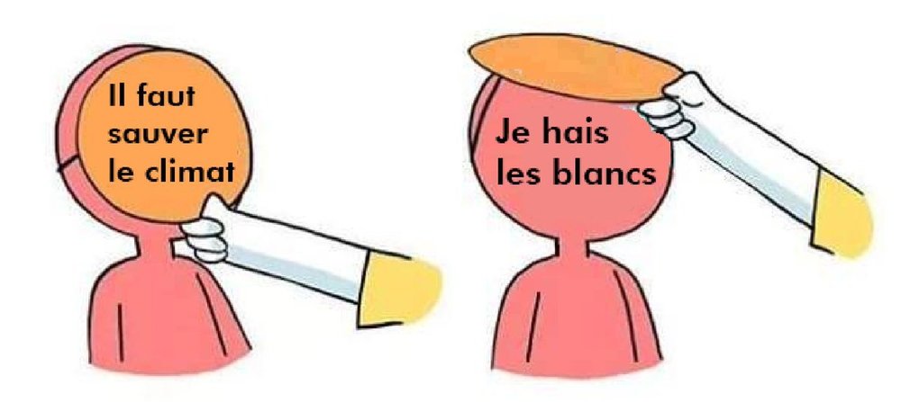 2096075621_ecologiedegauche.thumb.jpg.ffd135330f44f9d149ab0ab1abcbcd00.jpg