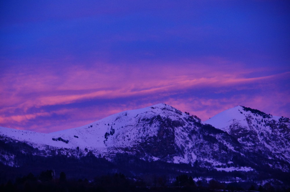 DSC02585_redimensionner.JPG