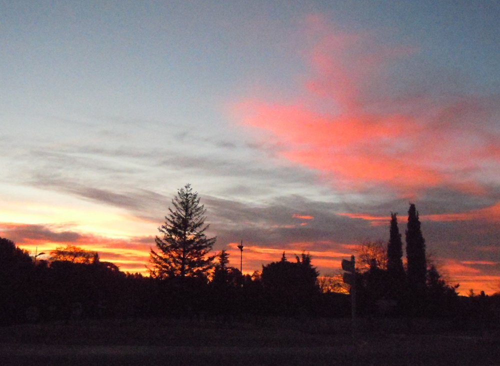 135453080_cematin2.thumb.jpg.fa1a31a7276c6b5764c4ed8e816704b9.jpg