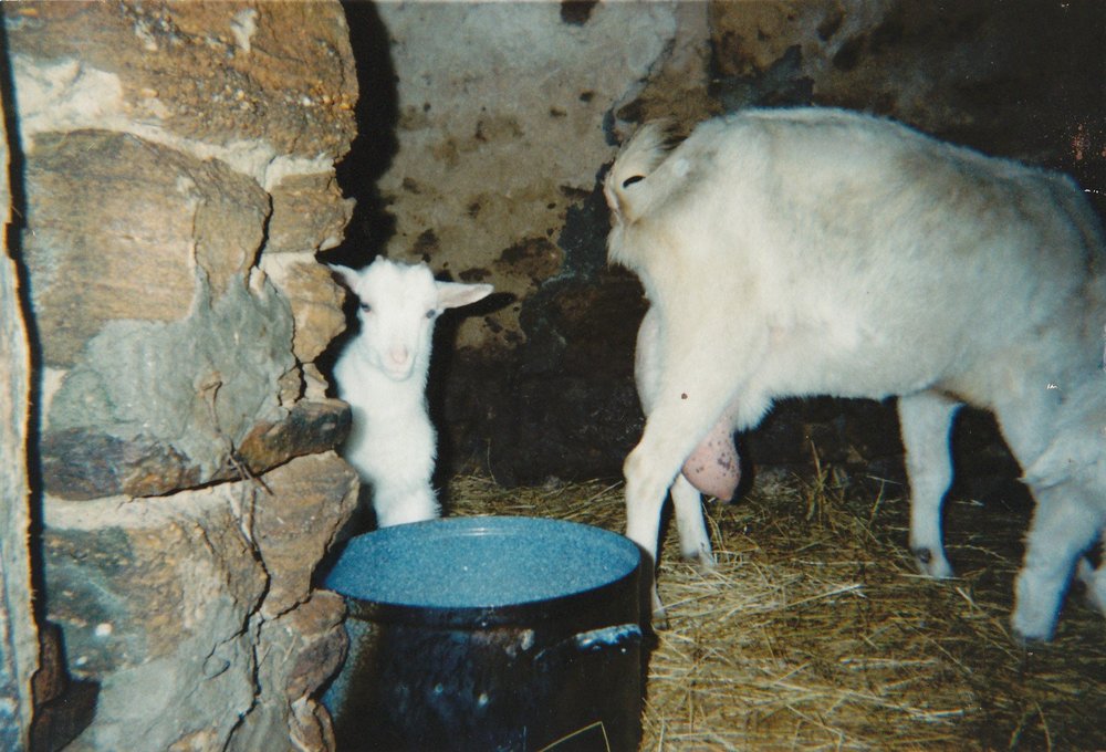 IMG.jpg