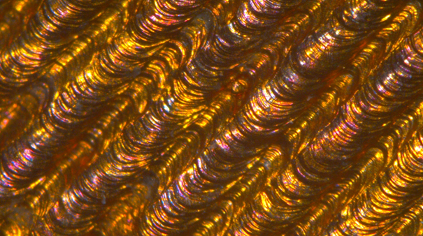 image.png.99a36cd8a0510f3f2e8f02f4adf2d35d.png