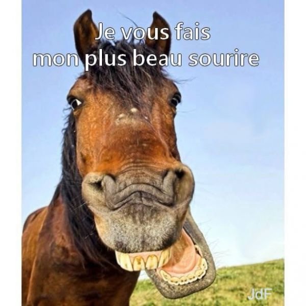 0a7379be545c2b4ca92f6bbf143e0edf.jpg.e6bec93b117c81c2ee8ab3150a8c56ff.jpg