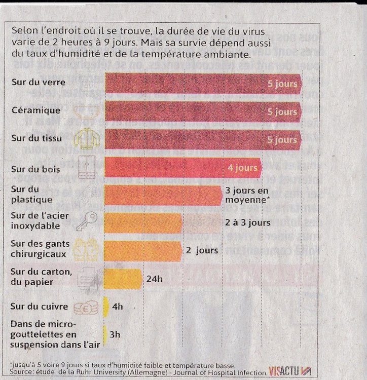 Z Covid-19 Durée de Vie.jpg