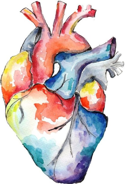 Items similar to Medical Anatomy Art- Watercolour Heart Painting - SMALL sizes on Etsy.jpg