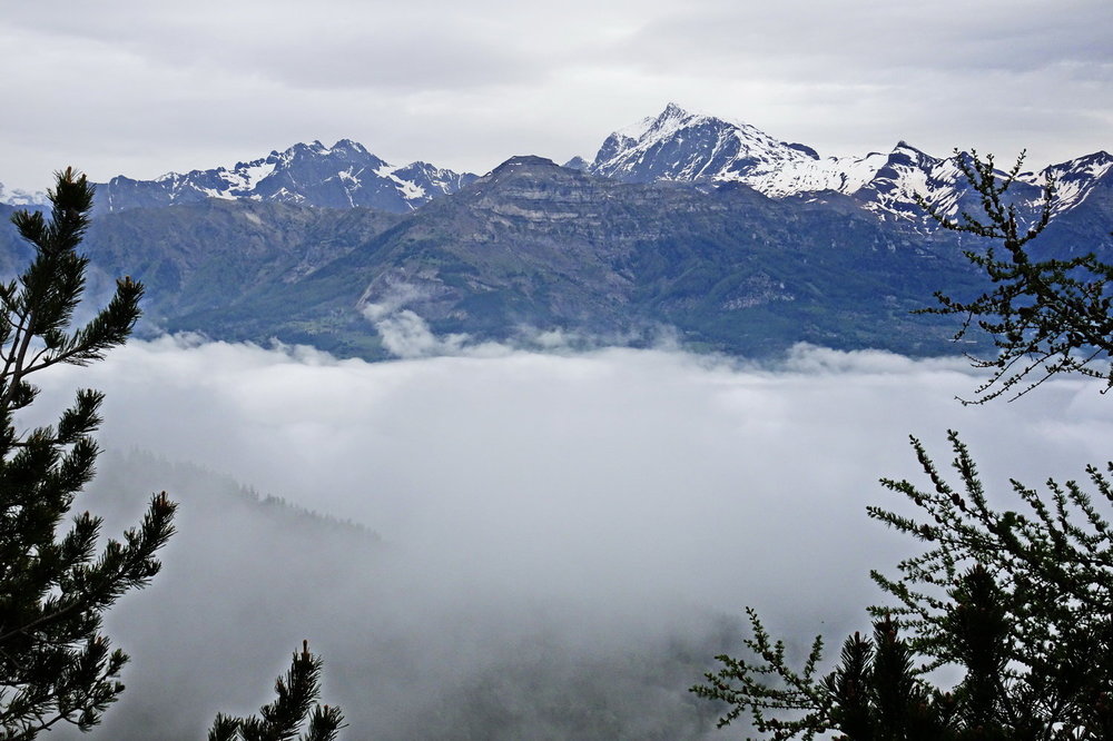 DSC04649_redimensionner.JPG