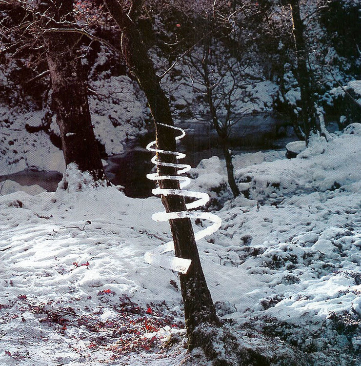 land-art-andy-goldsworthy-231.jpg