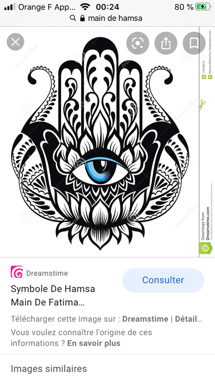 9EE70256-4C88-443F-8336-E18BD916FC0A.png