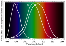 image.png.5ad8616264889de0fed4462debe80e6c.png