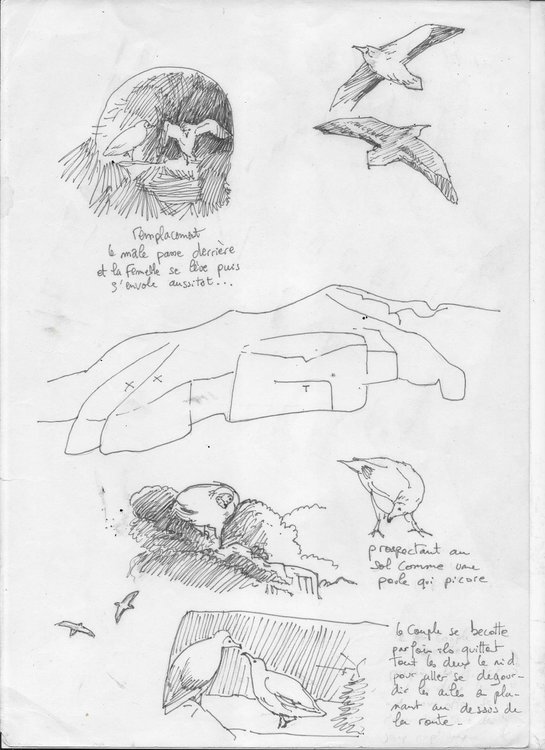 Image (222).jpg
