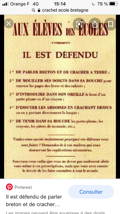 D2558D61-4331-428F-8AA5-F919A3C17A4C.png