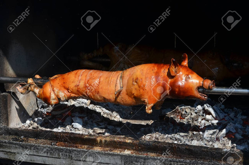cochon.jpg