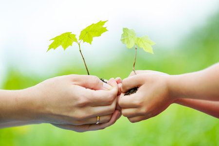 Êtes-vous un expert des mots de l’environnement?
