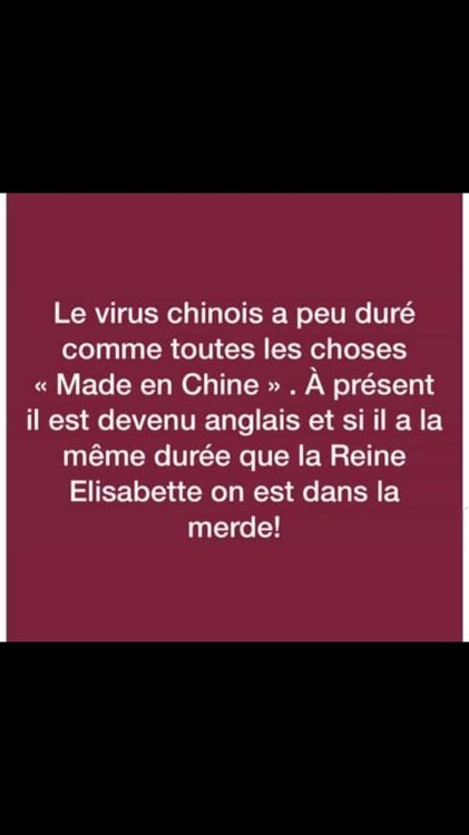 Le virus et la reine.jpeg