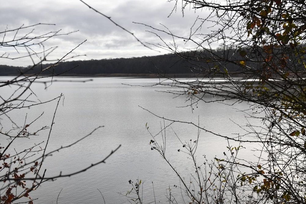 berangere-abba-en-visite-au-perray-etang-saint-hubert-perray_5161824.jpeg