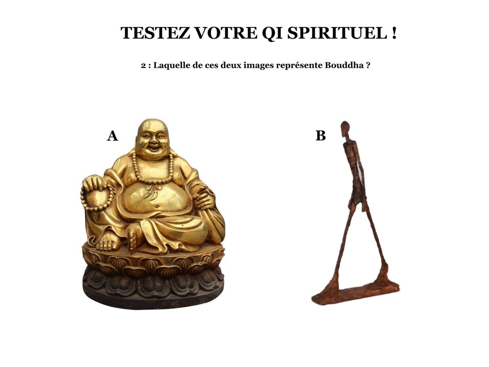 DSCN8130 - Copie.JPG