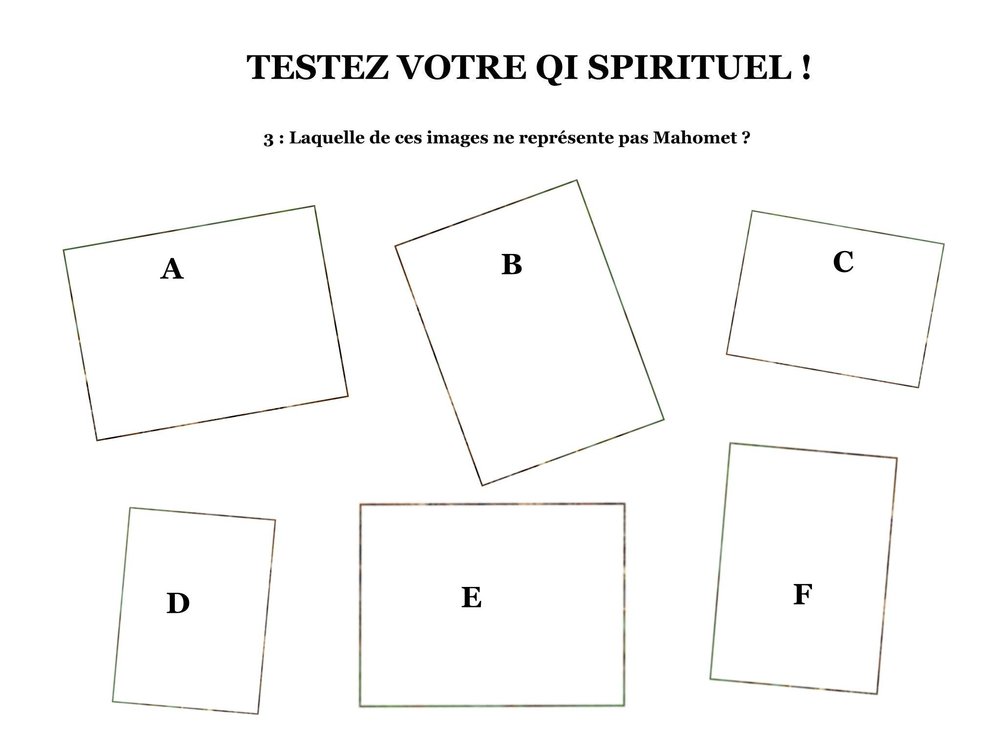 2057732649_DSCN8130-Copie-Copie.thumb.JPG.73614a24275d2087af4eacbadc556b88.JPG