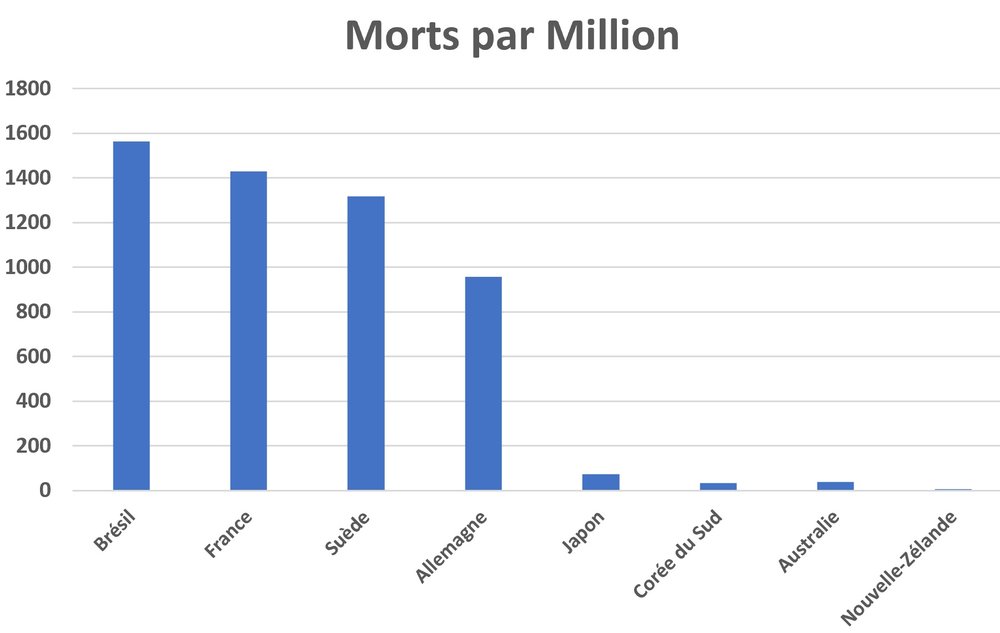 morts covid.jpg