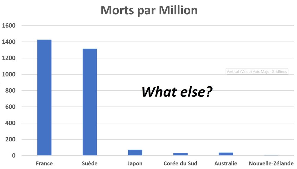 morts covid.jpg