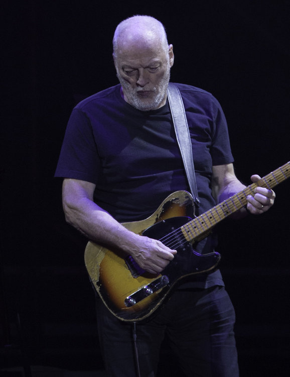 David_Gilmour_Argentina_2015_(cropped).jpg