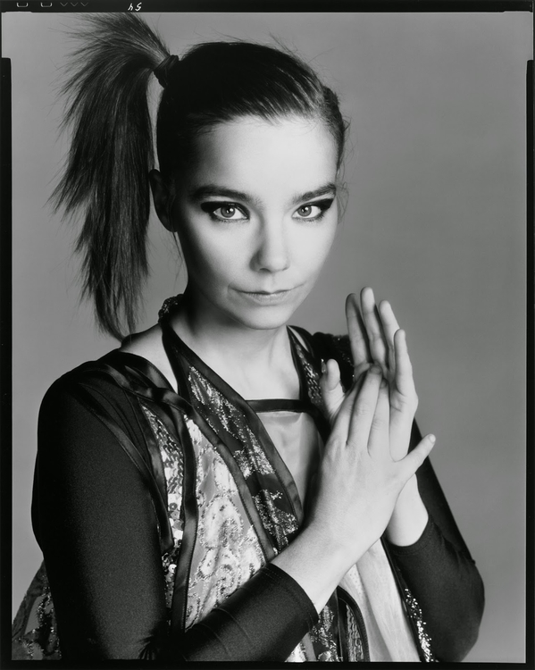bjork-2004-richard-avedon-01.jpg
