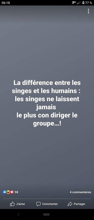 singe.jpg