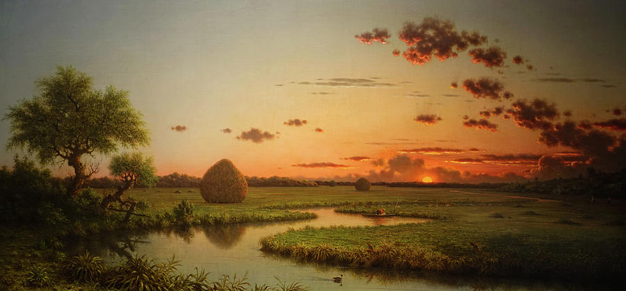 1062525008_MartinJohnsonHeade4.jpg.e742ed8d9cfd771e572da502c4ed024e.jpg