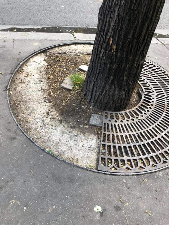 202327780_10159479809844530_5814870873692835770_n (1).jpg