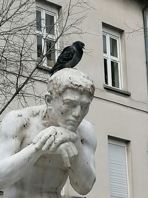 IMG_20210314_145817 (1).jpg