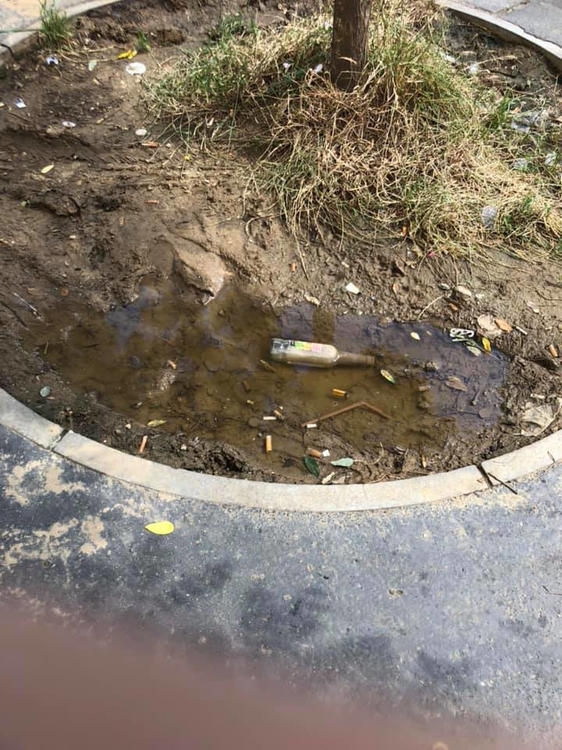 202658073_10159479809659530_5710881488224001361_n (1).jpg