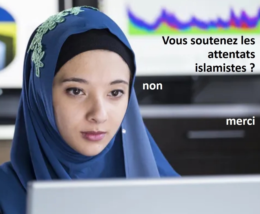 894840255_voileislamique.thumb.jpg.c038fd284e7472e85526cfc8e36d15fd.jpg