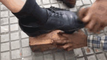 003E64BB-A09B-4D73-88B4-CFED78526DA7.gif.03da9873155378272b43b045866a5c1e.gif