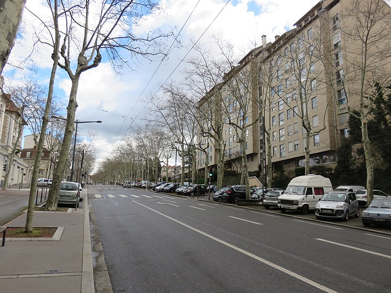 800px-Lyon_-_Boulevard_de_la_Croix-Rousse,_partie_basse_(mars_2019).jpg