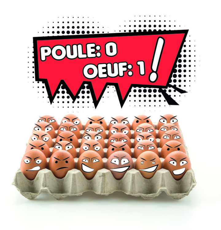 poule O oeuf 1.jpg