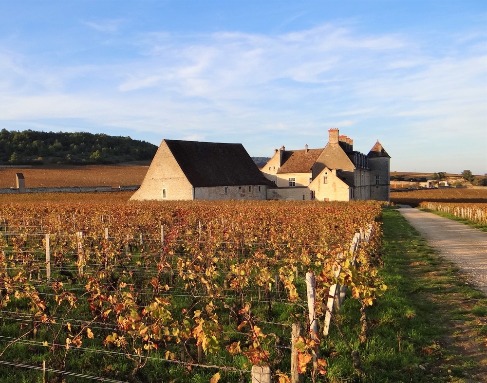 clos vougeot.jpg