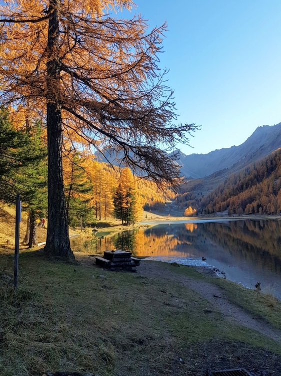 couleurs d'automne.jpeg