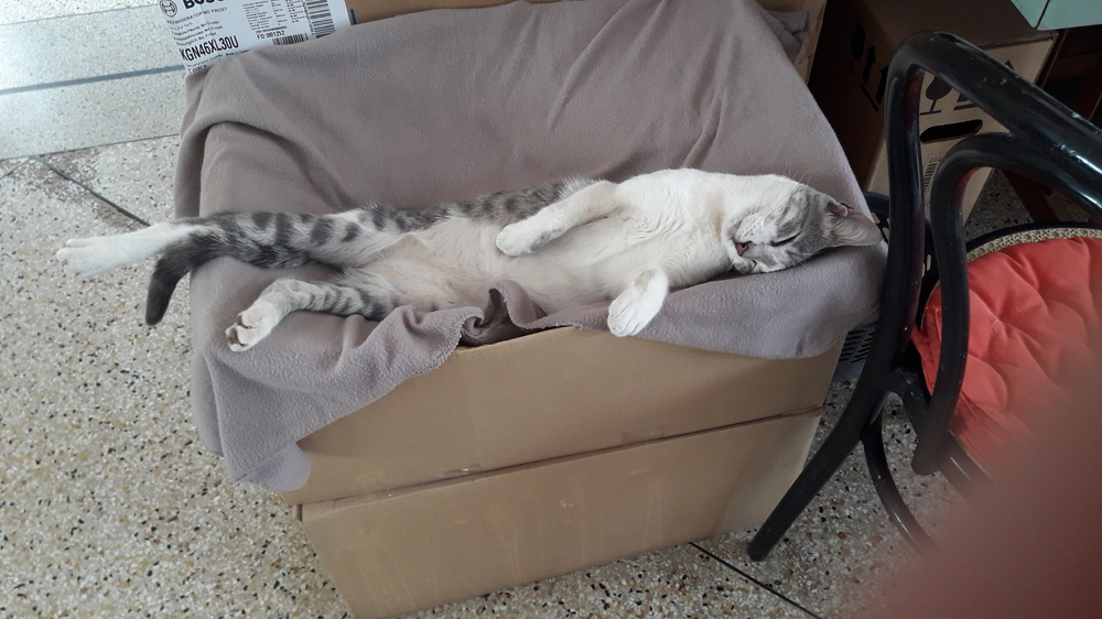 20210827_112050 (1).jpg